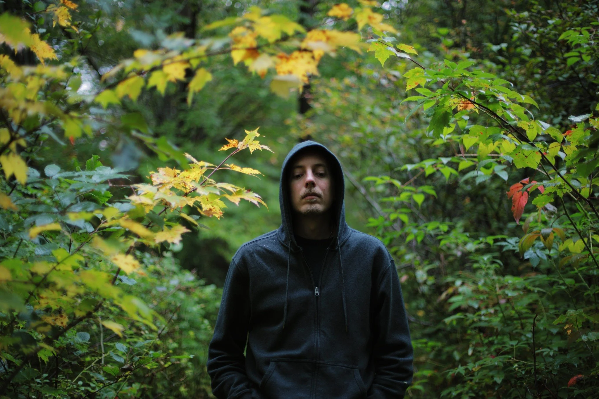 AGING SHADE &mdash;&mdash; I love a path no wider than it must be. I feel at home when the walls of the woods push close, either along a game trail or something cut by my kind. Following on occasion is the best way to be certain that nature holds bac
