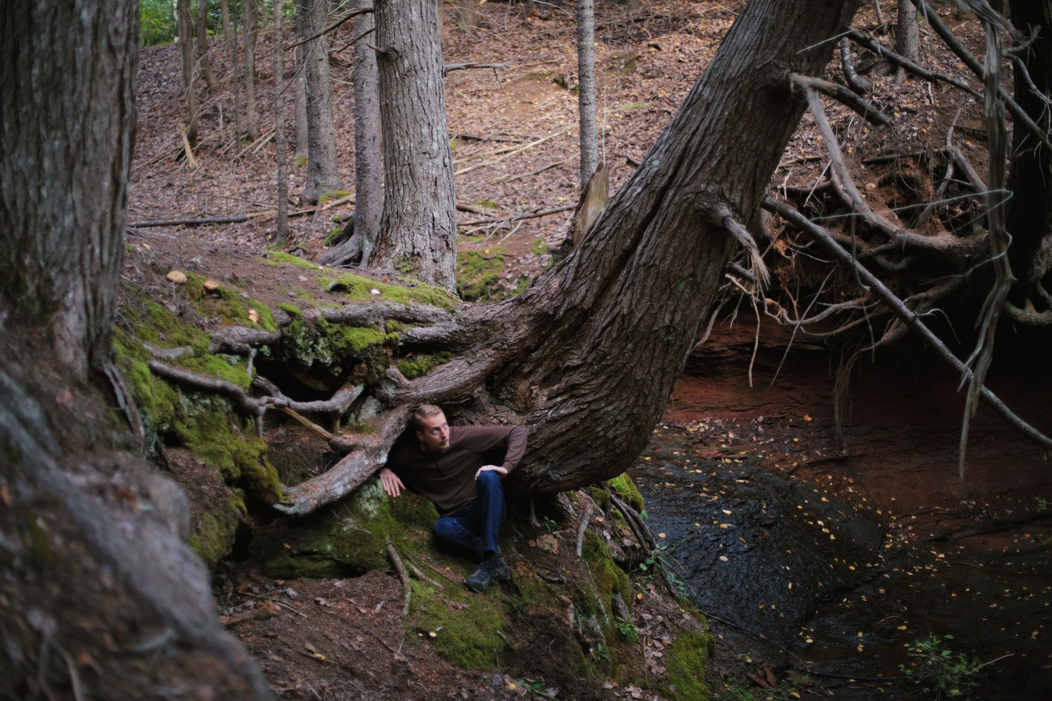 LIKE AN ALIEN &mdash;&mdash; Just as I approached this cave of roots, a started squirrel scurried up the tree trunk. Sometimes I wonder how many wild creatures I've frightened in my time. They're completely aware that I mean no harm, and wouldn't hav