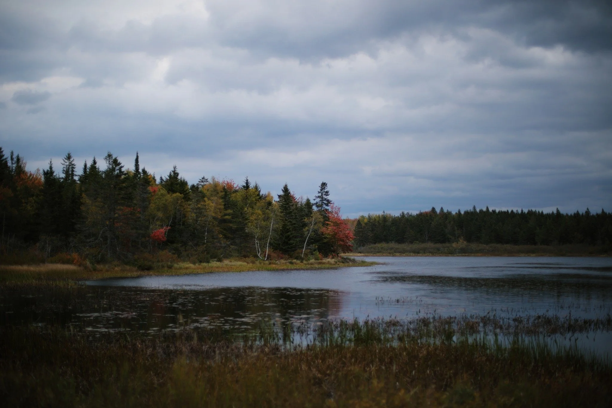 RARELY BROKEN &mdash;&mdash; I've never worked up a complaint for cloudy days. Especially in autumn, when the colours come up brighter without a sun to wash them out. Set under shadow and soaked in the rain, rising warm like an old painting with a ne