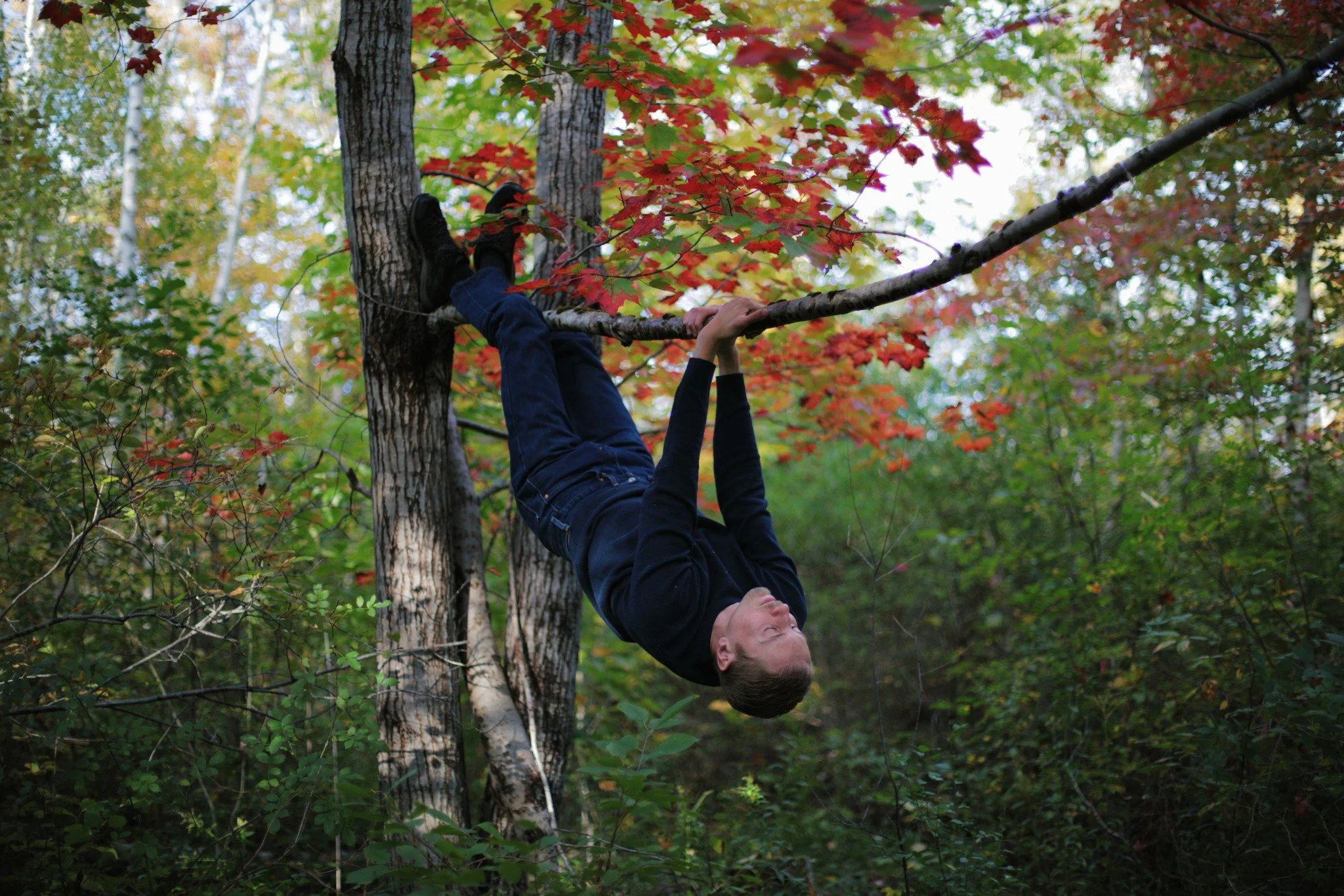 INTEND TO INHABIT &mdash;&mdash; There's something about tree climbing we feel we're supposed to stop doing with age. But I've never seen why we should let kids have all the fun. Any amount of time in the woods eventually has me thinking vertically. 