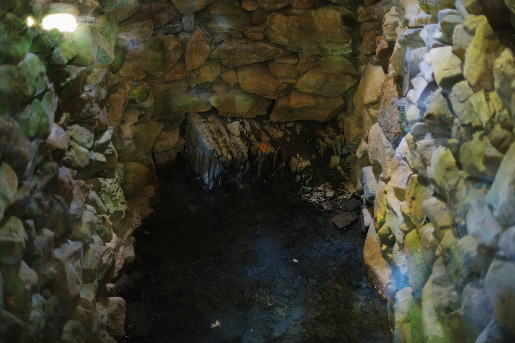 ENTERS ESCAPES &mdash;&mdash; I've seen a lot of spring boxes in my time. Usually pretty small structures, comparable to a doghouse, simply raised to keep wildlife out of a water source claimed for human consumption. So it was with some surprise that