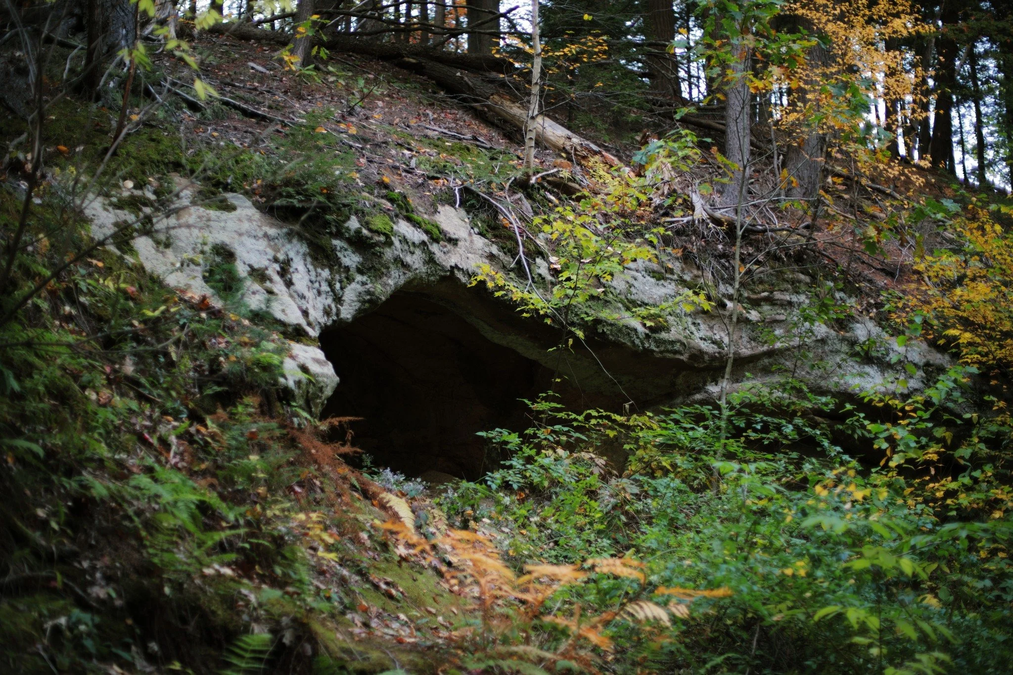 AS IF FABLES &mdash;&mdash; There's a cave high above the Ravine Trail hollow. Well, more like an overhang, really. But if you were caught in the wild with a sudden downpour, you wouldn't argue semantics. There's little in the way of natural shelter 