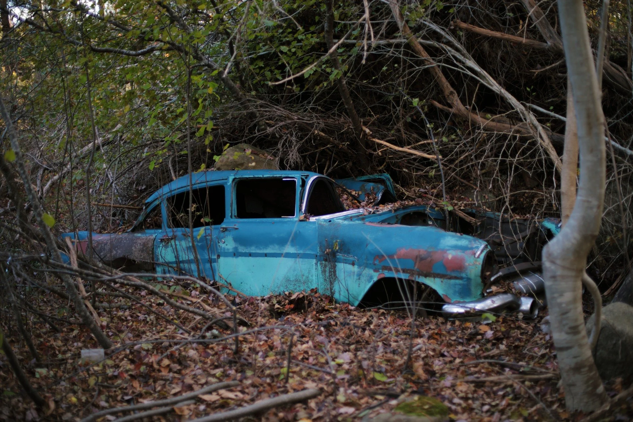 WARM AND ALIVE &mdash;&mdash; To the edges of properties, the slopes of streams, the backs of fields. This is where I go to find the trash of generations past. Out here behind the cemetery, all broken limbs and brush, and flowers died on graves. Belo