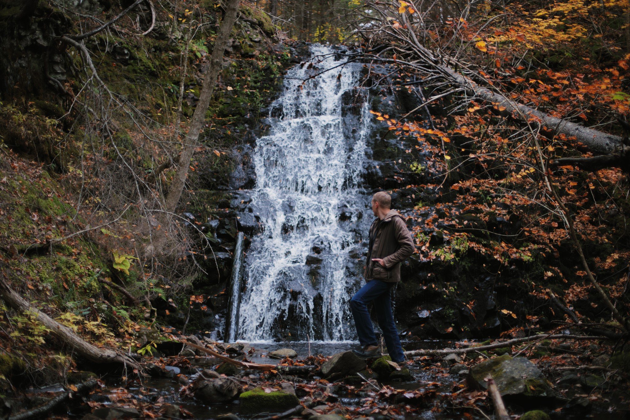 MOST WHO DREAM &mdash;&mdash; Maybe a more tangible kind of beauty lies in a waterfall that never really rushes, a small and craggy cascade that you can stand under in most any weather without getting wet. The pool below seems to swallow up the water