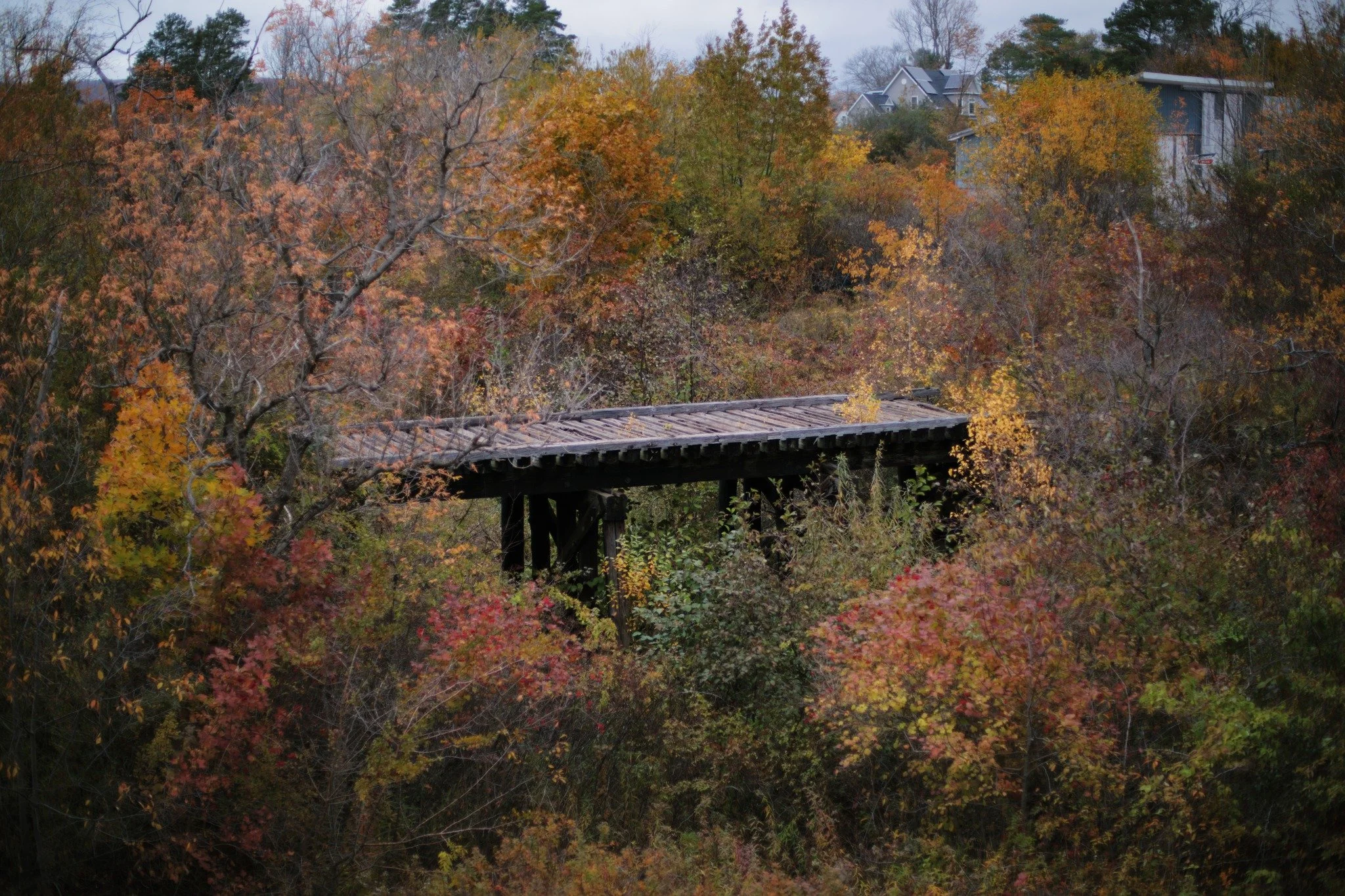 SHY THAT DAY &mdash;&mdash; Last bridge standing on an abandoned railroad that lived from 1906 to 1983. The so-called Middleton and Victoria Beach Railway ran just shy of its stated destination, dumping massive loads of iron ore from the end of a qua