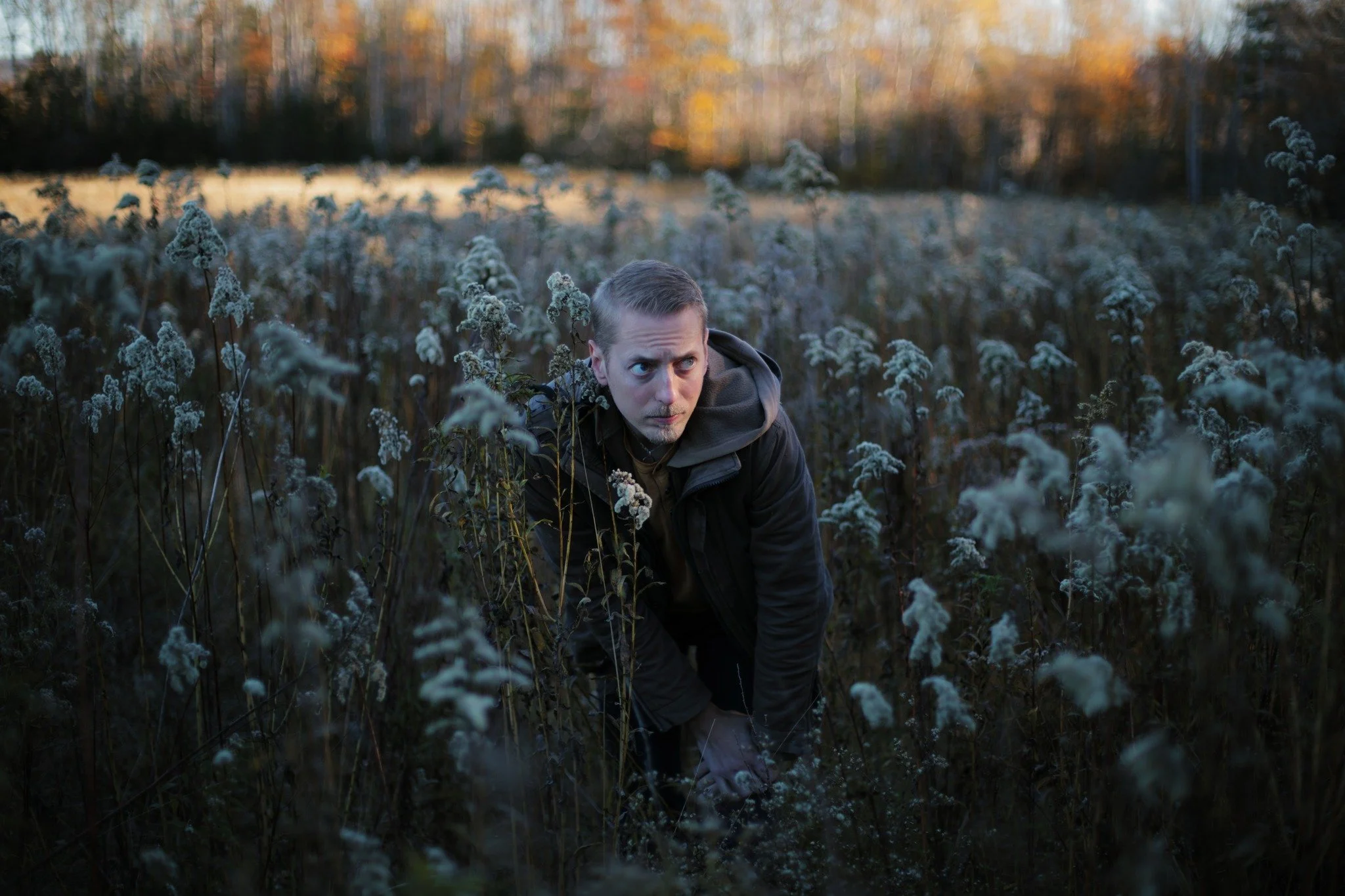 SOCIAL ROOTS &mdash;&mdash; I'm fascinated with the stages of a field gone feral. About fifteen years back, this one was still mowed for hay. Then it saw a season of corn, and finally, a low and leafy crop that I can't recall by name. These days, it'