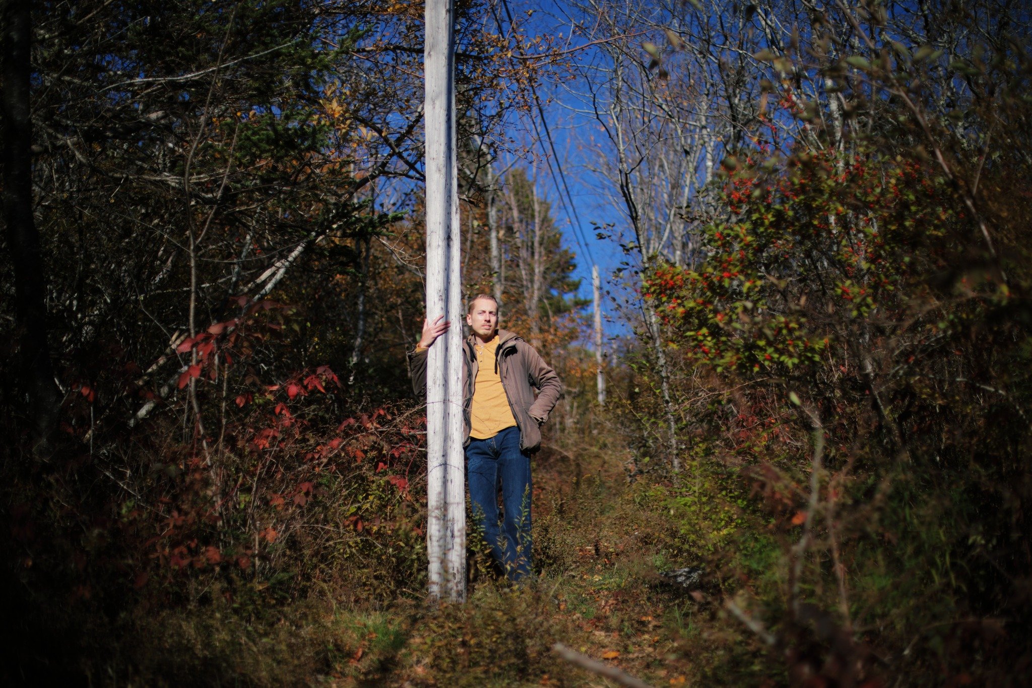 THEREABOUTS &mdash;&mdash; Ironically enough, civilization is the salvation of an abandoned road. The same forces that left it to nature offer a proximity that keep it from fading forever. Out back of a dozen different lots, yards, fields, and wooded