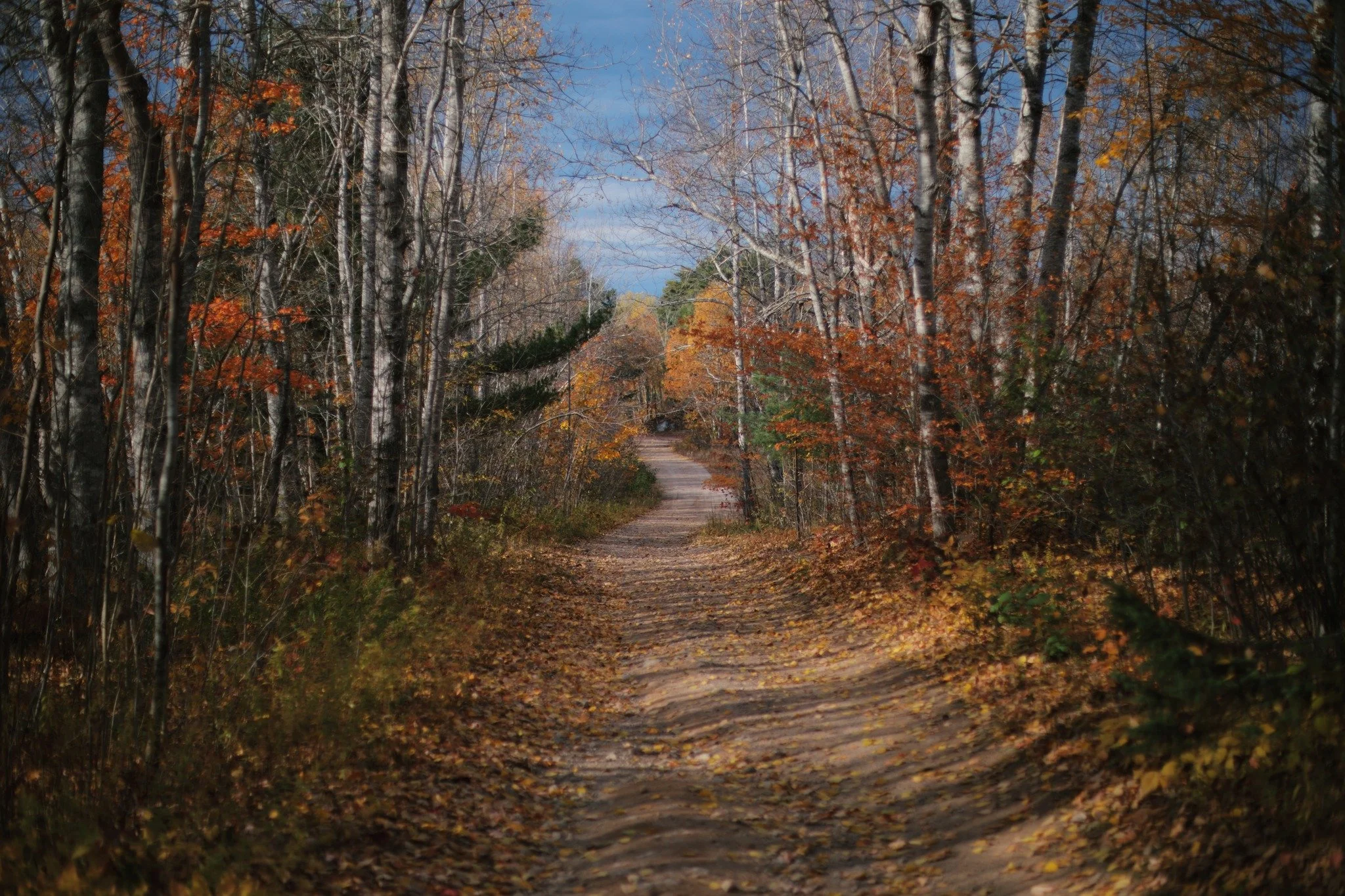PERPETUAL EMOTIONAL &mdash;&mdash; Afternoon in autumn is near to enough. My expectations of happiness and beauty are set in place by cool wind and shining colour. There ain't much left in me that feels unfulfilled. Coming back up from Roxbury Brook,