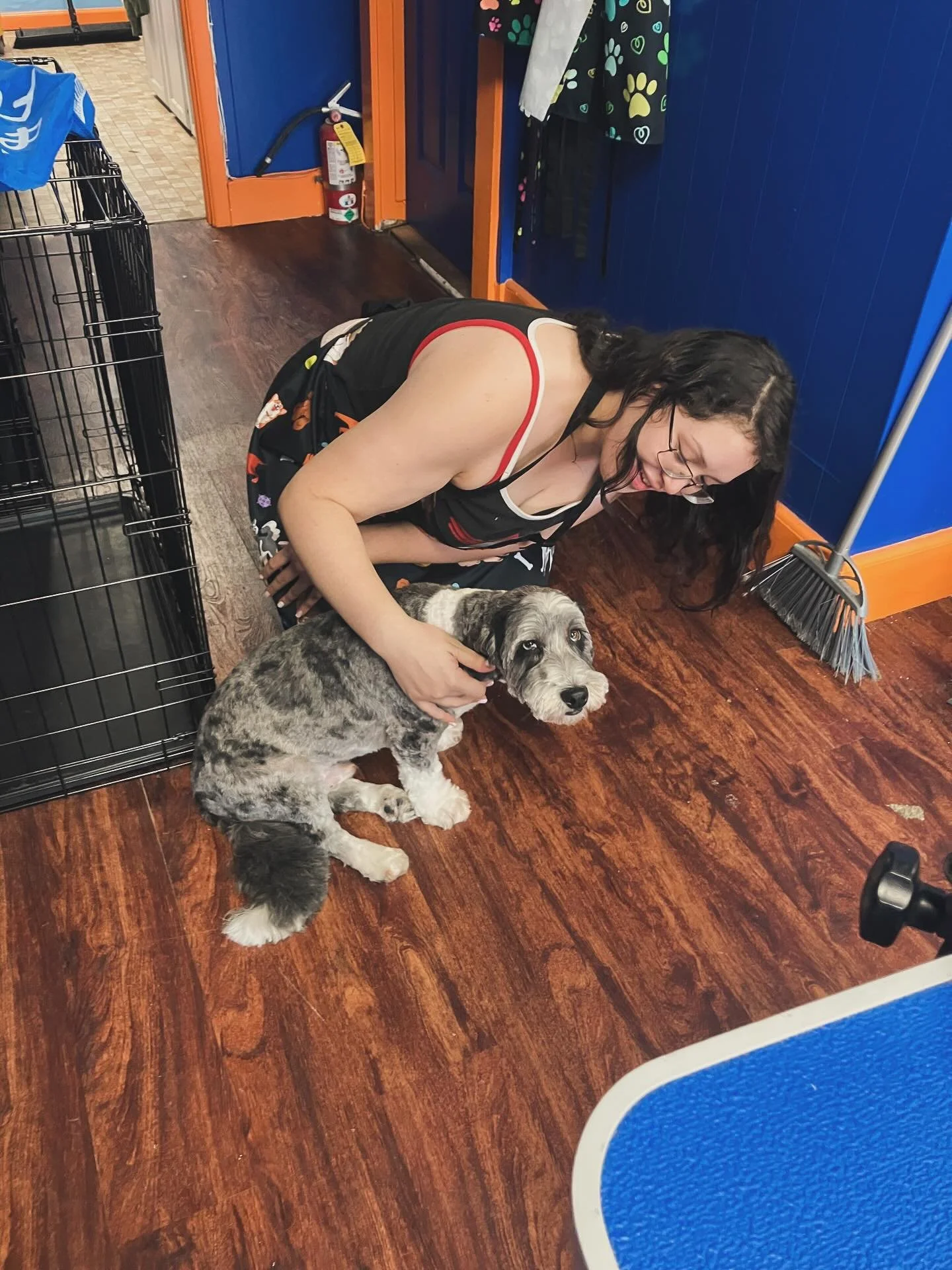 Today Rigley did extra good for his groom with Rosie, with persuasion from many cheese treats! We look forward to seeing him again! :)