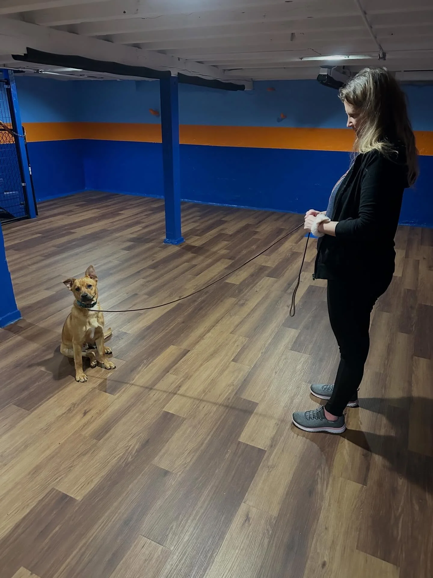 Happy Friday, AllStars!

Take a look at the week your pups have had! New AllStar pup, Joey, started training this week with our trainer, Christy. Look at that good boy! Very proud of our new AllStar 🤗

#chicagodog #chicagodogs #chicagodogsofinstagra
