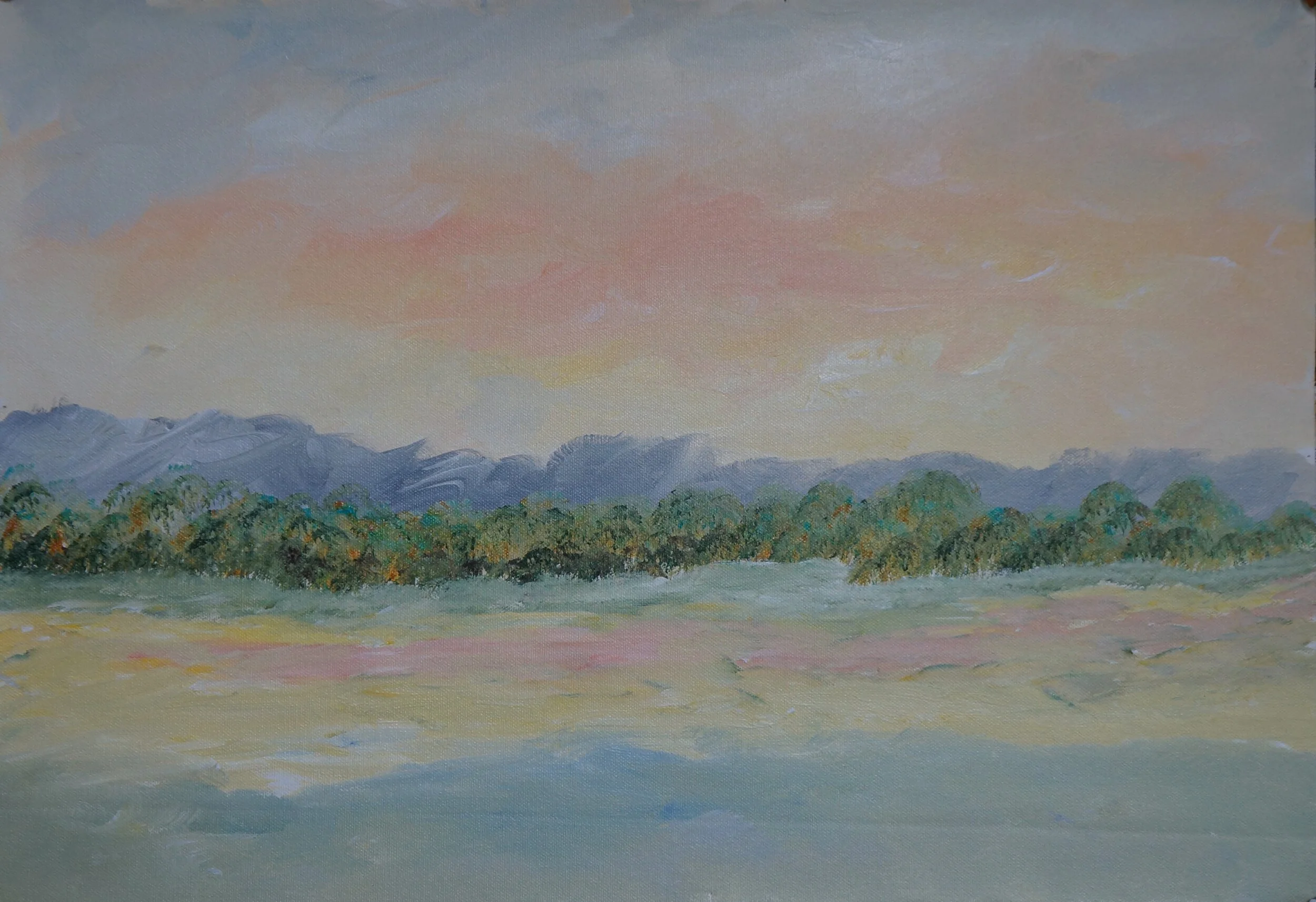  22” x 14” 