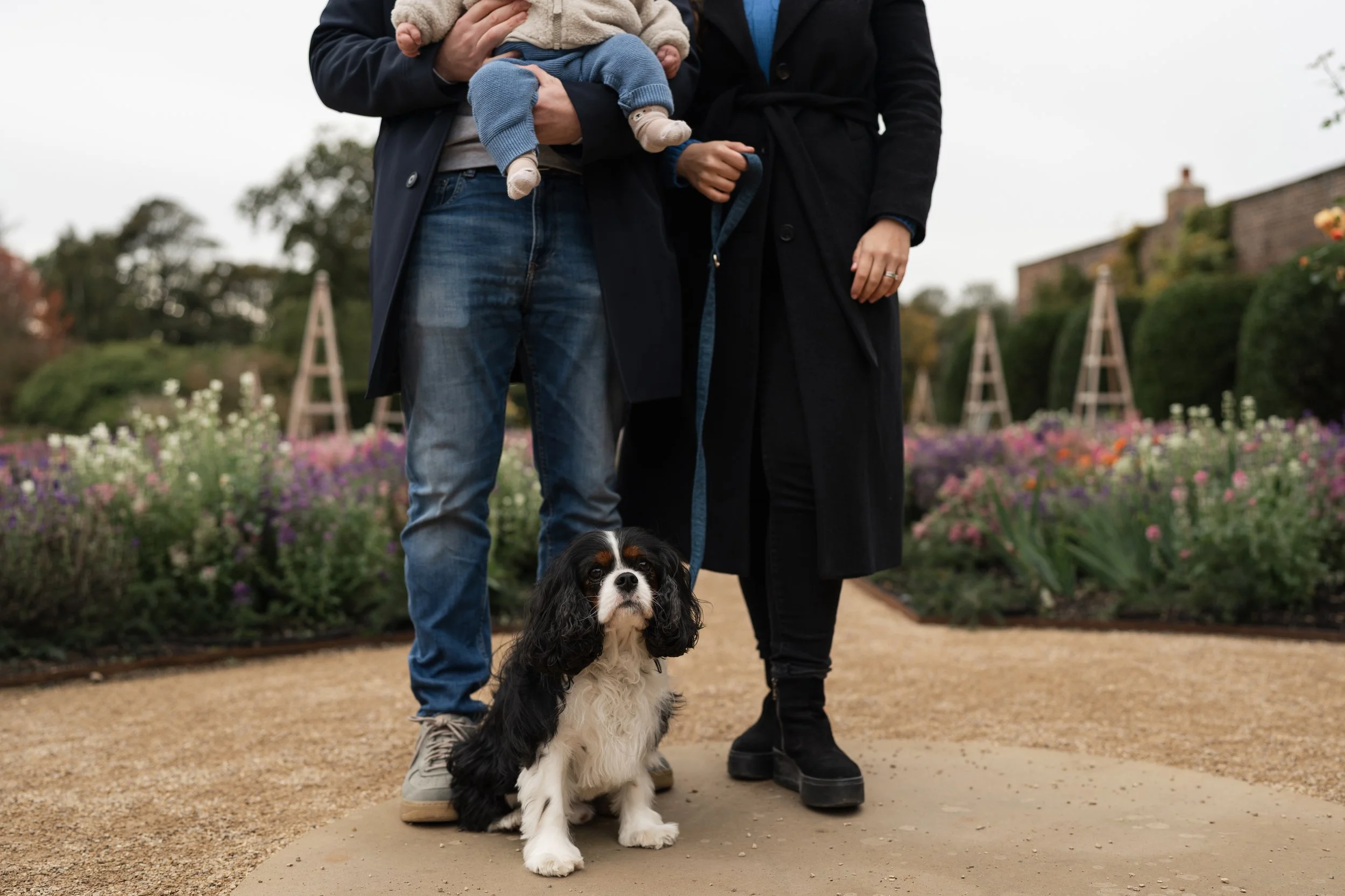 A family of three, including a child, standing on a garden pathway with their dog. The child is being held by one adult, and the dog, a black and white Cavalier King Charles Spaniel, sits on the ground in front of them. The garden is filled with colo