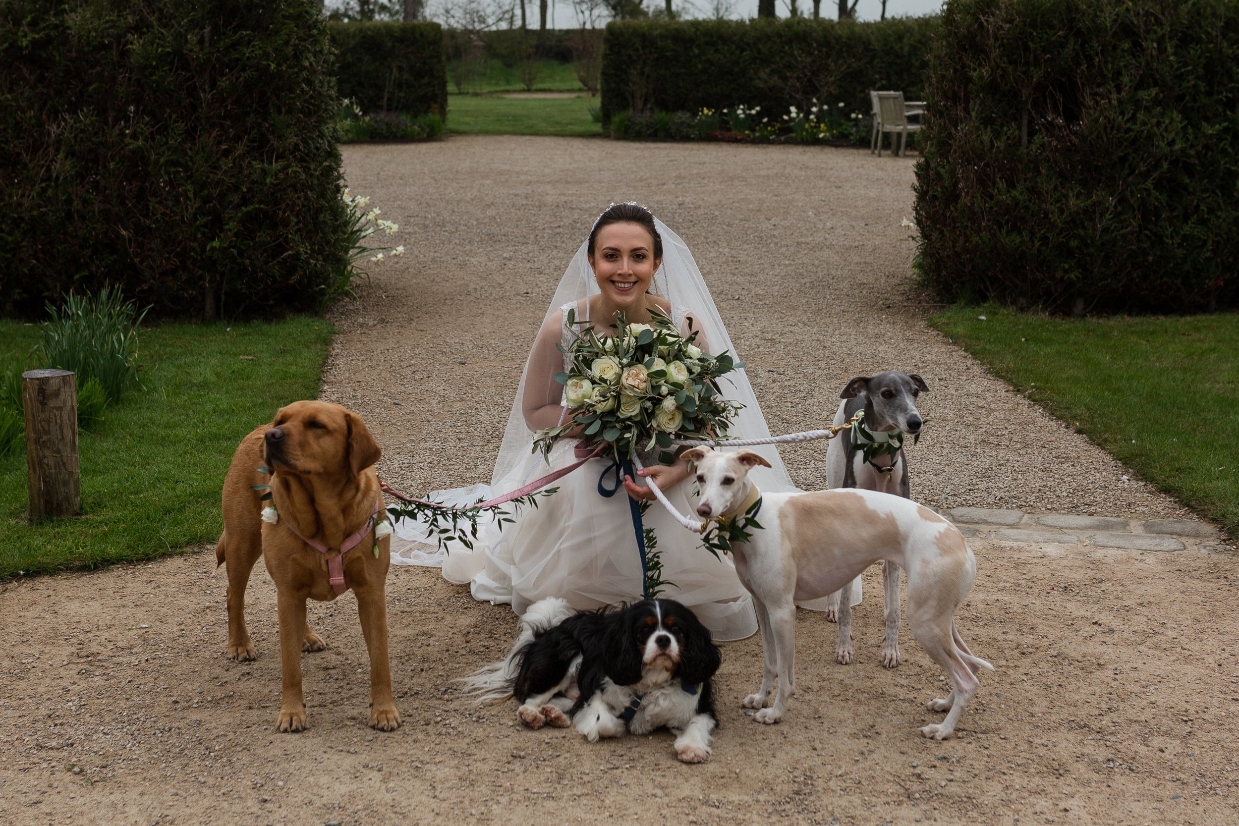 bride-and-dogs-newton-hall.jpg