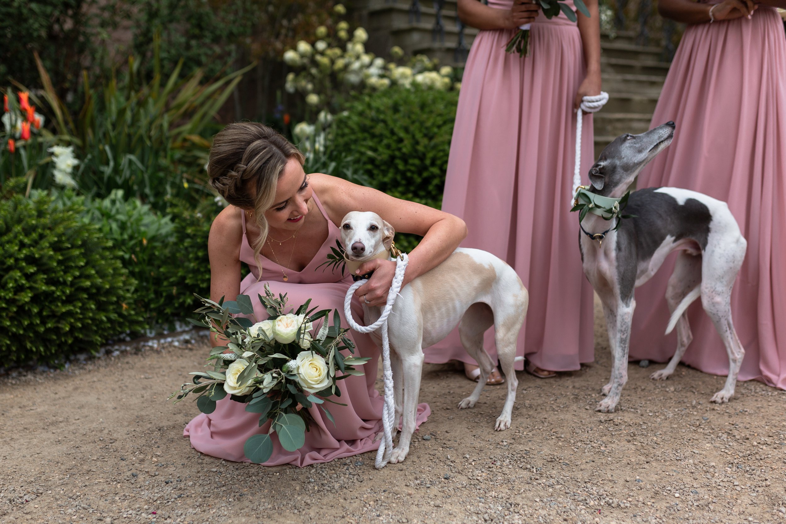 dog-bridesmaids-newton-hall.jpg