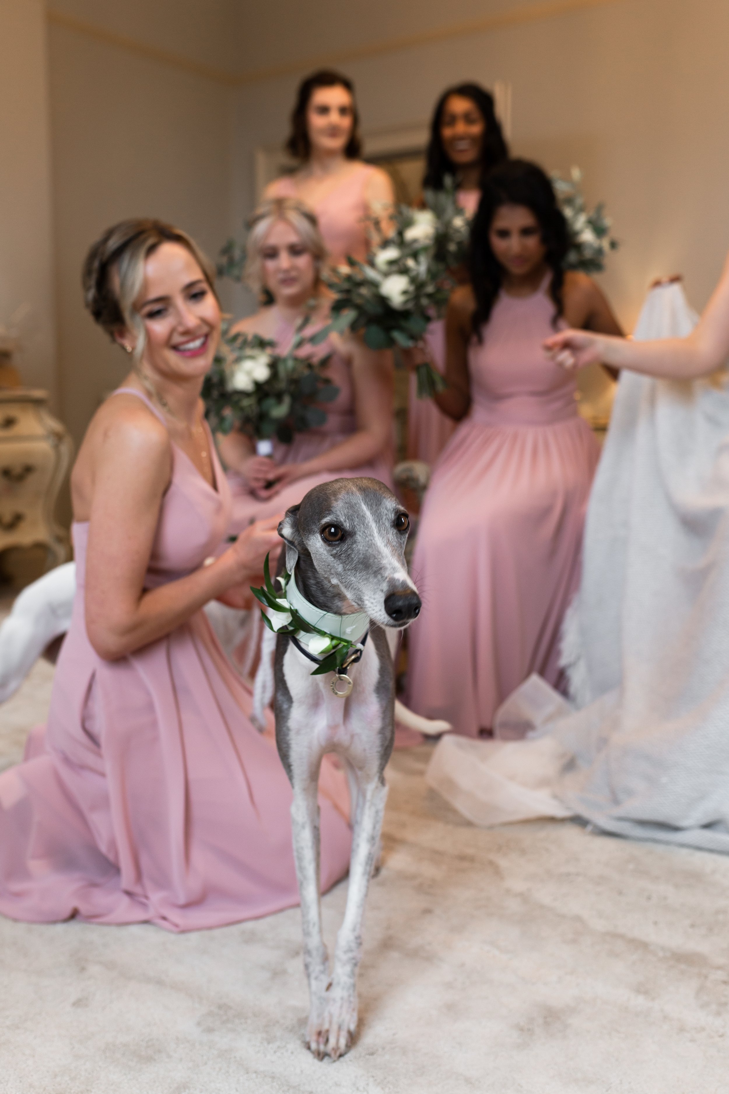 doggy-bridesmaids-newton-hall.jpg