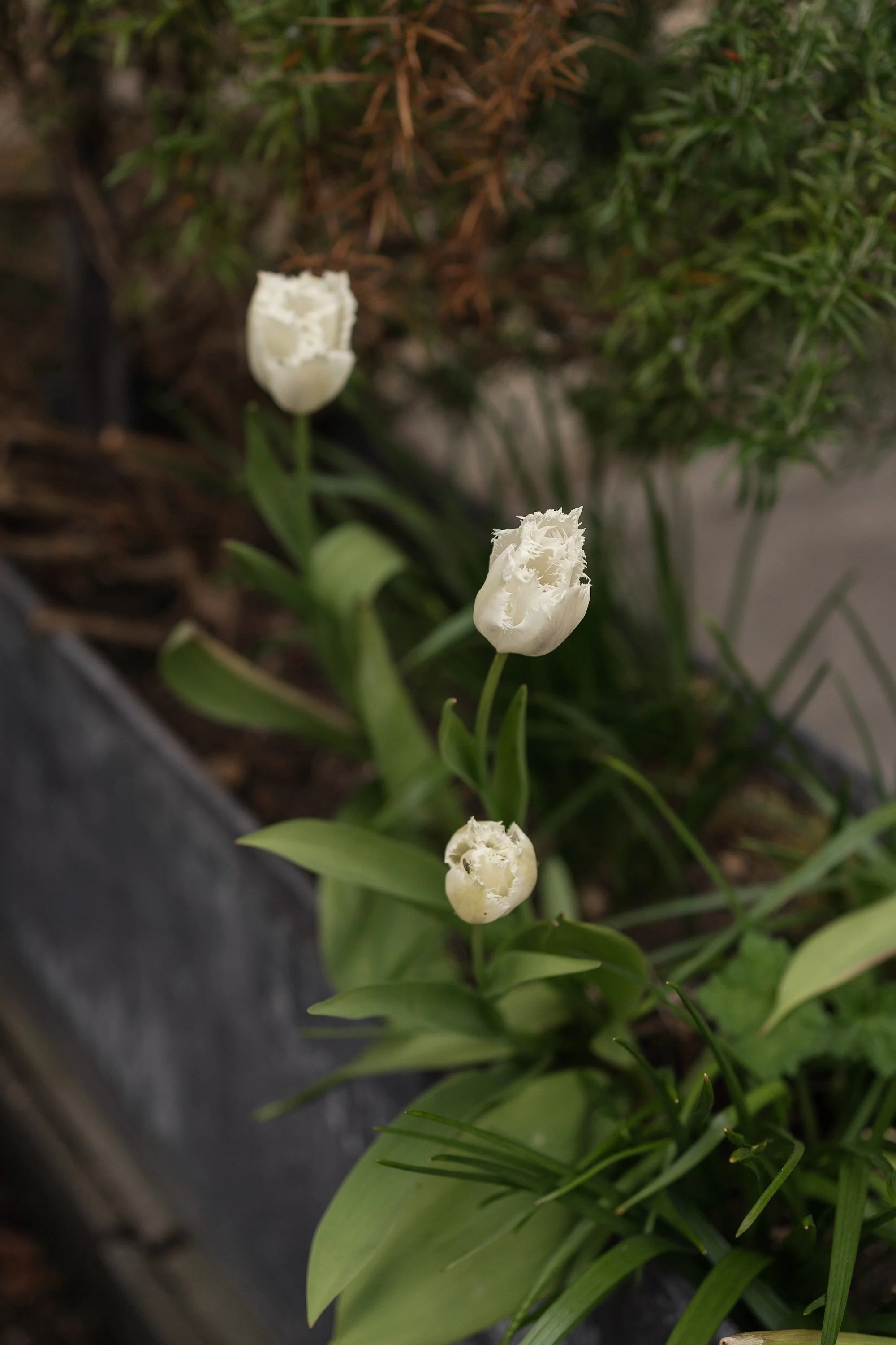 healey-barn-wedding-photographer 43.jpg