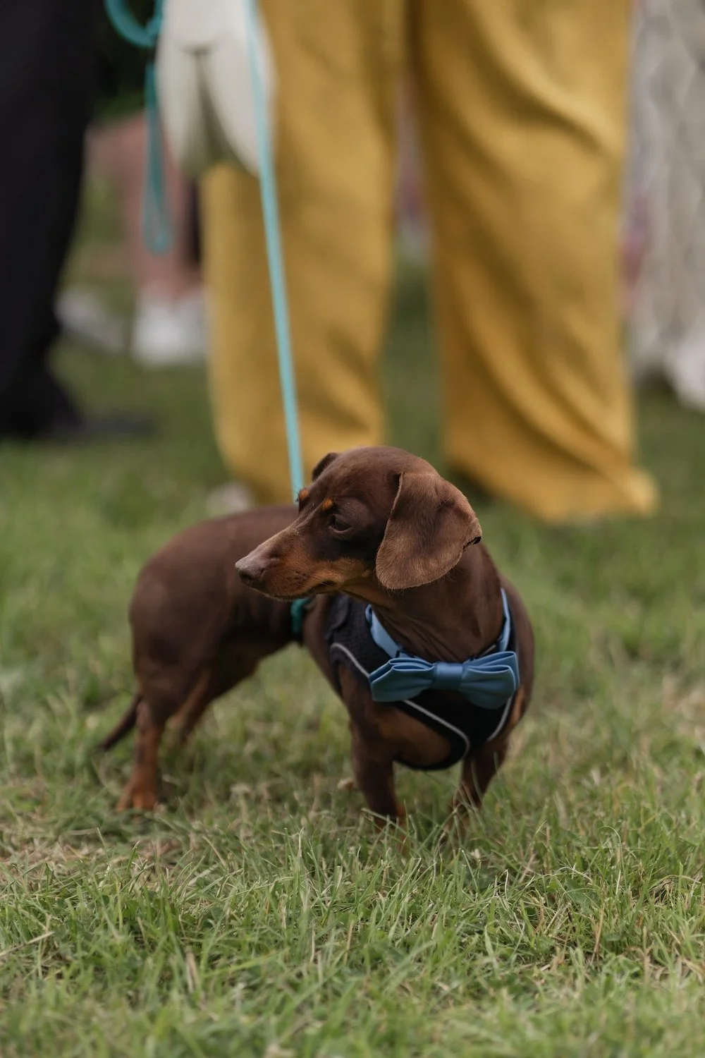 Kirsty & Josh - Newbiggin Farm - Laura Eddolls Photography-155.jpg