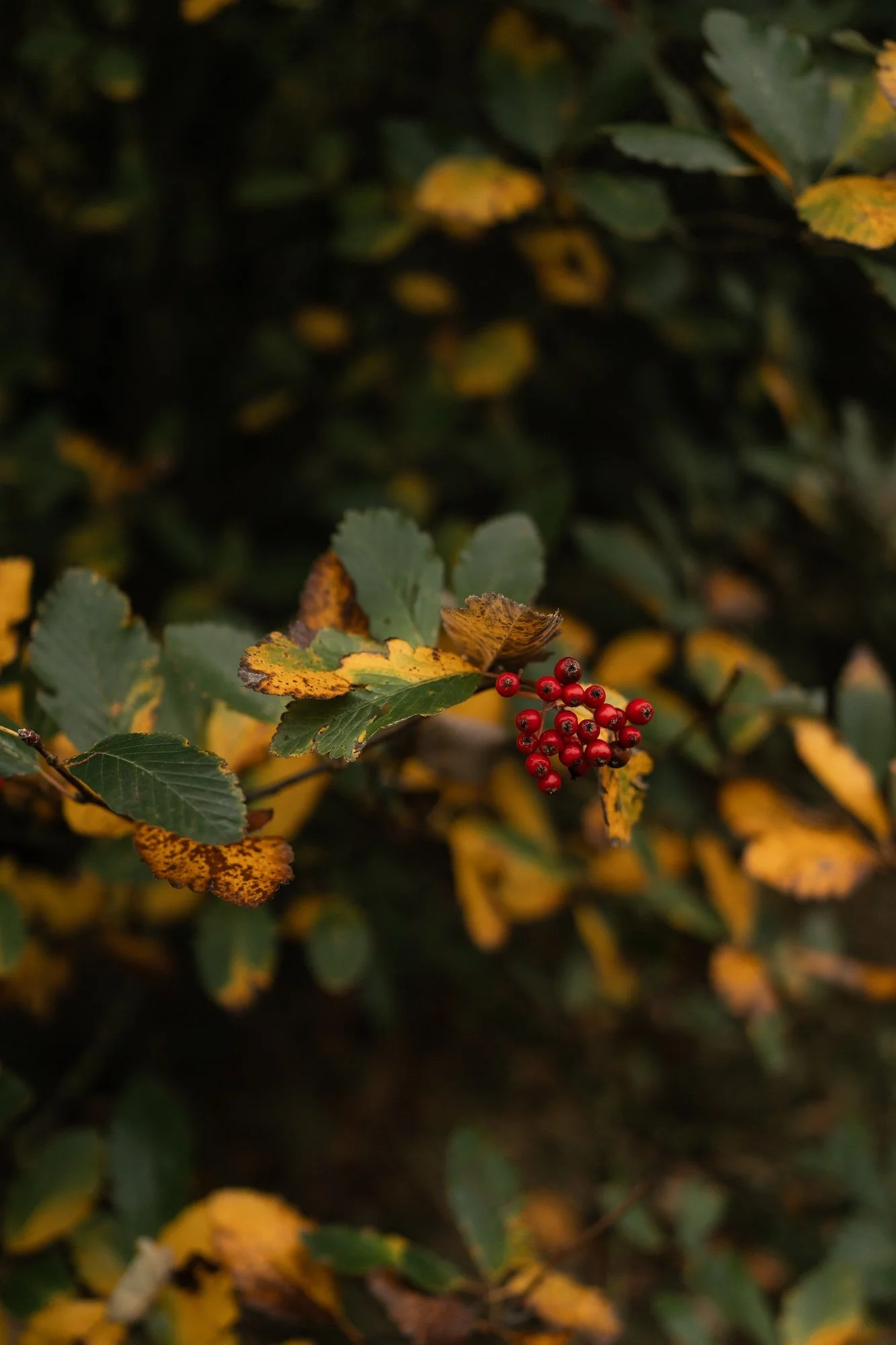 Ashleigh & John - Dalton Old Pump House - Laura Eddolls Photography -2.jpg