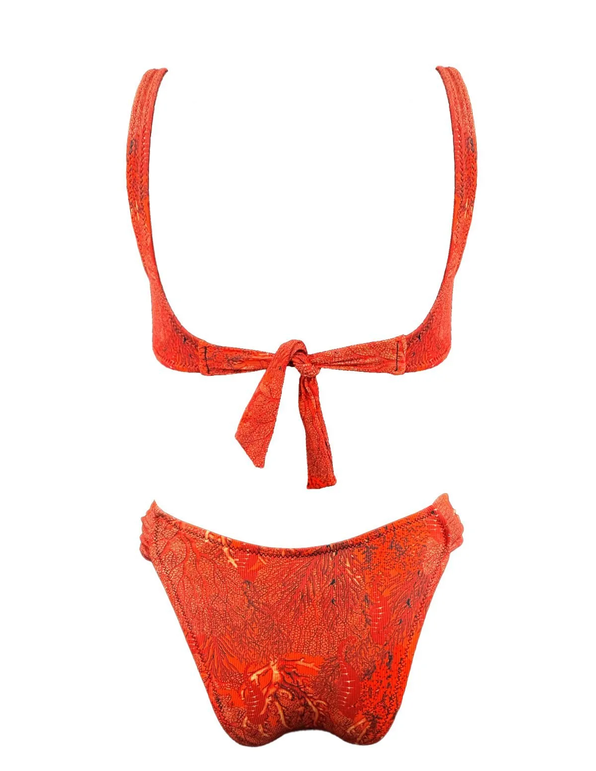 coral-dcup-back.jpg