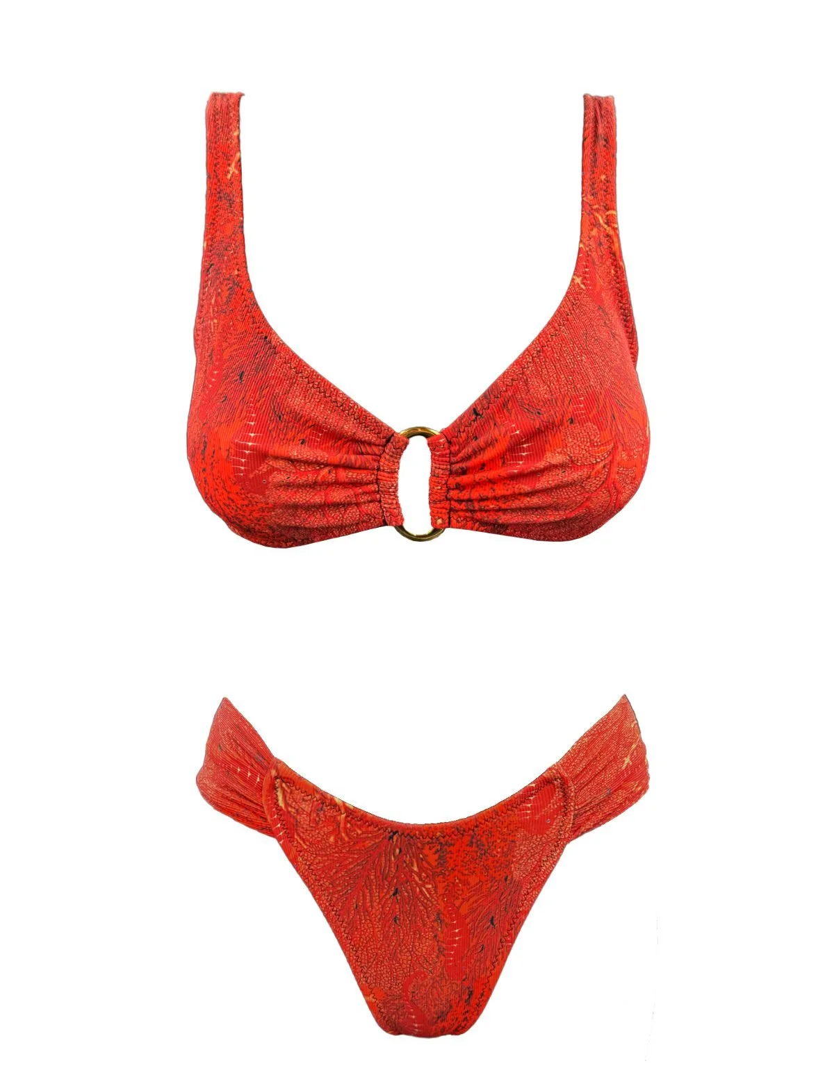 coral3.jpg