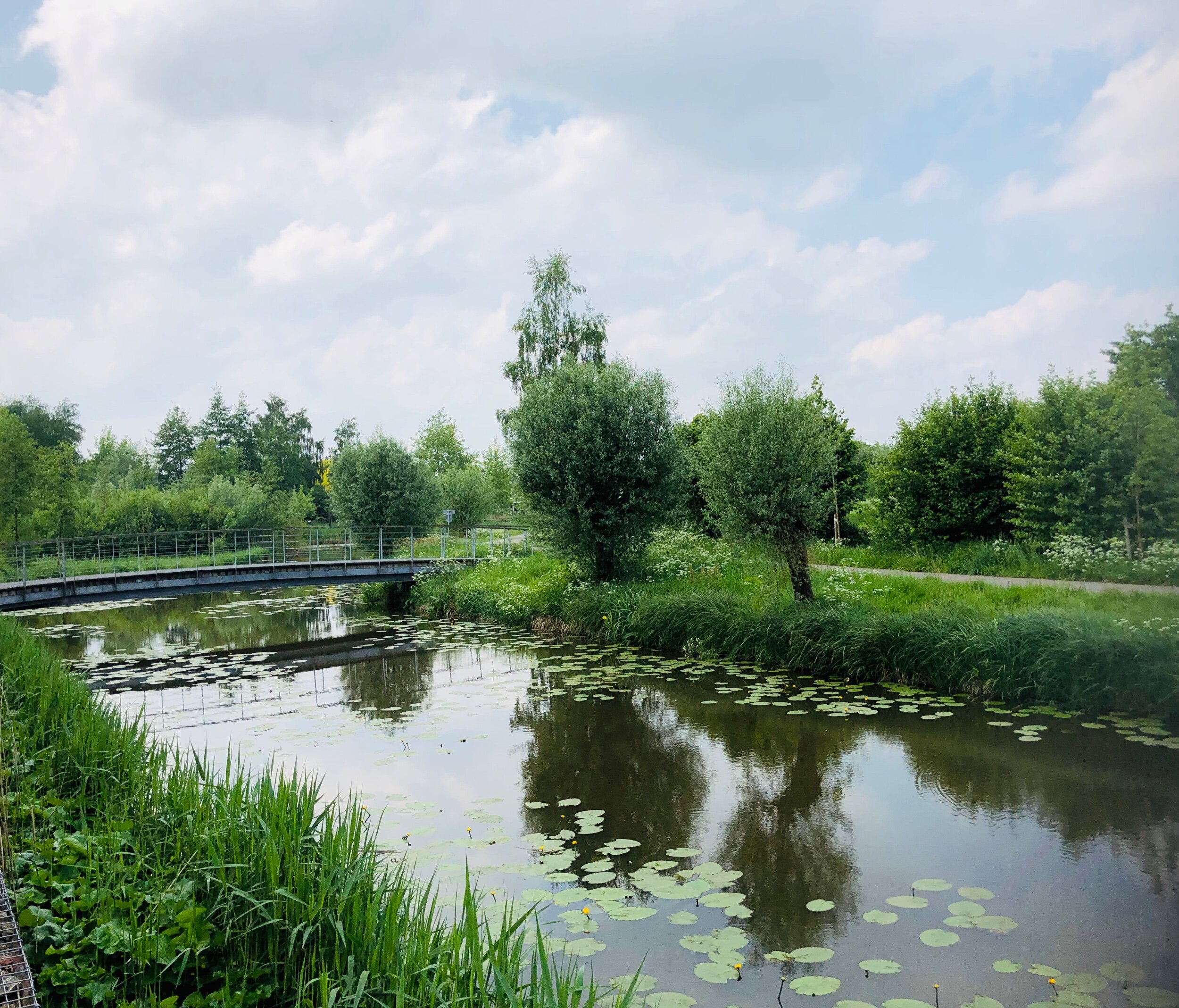 Klaverpad, Sint-Oedenrode, The Netherlands