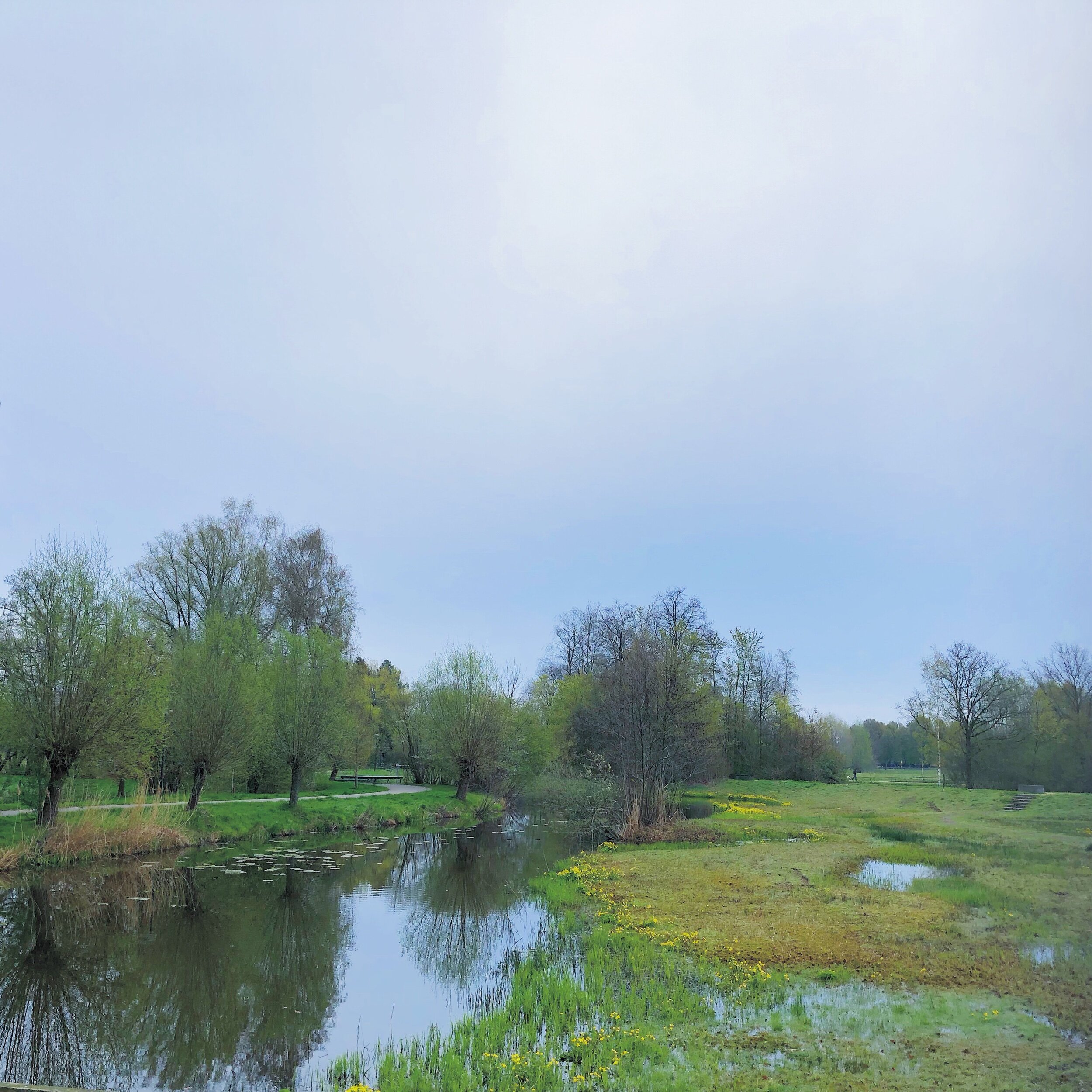 Klaverpad, Sint-Oedenrode, The Netherlands