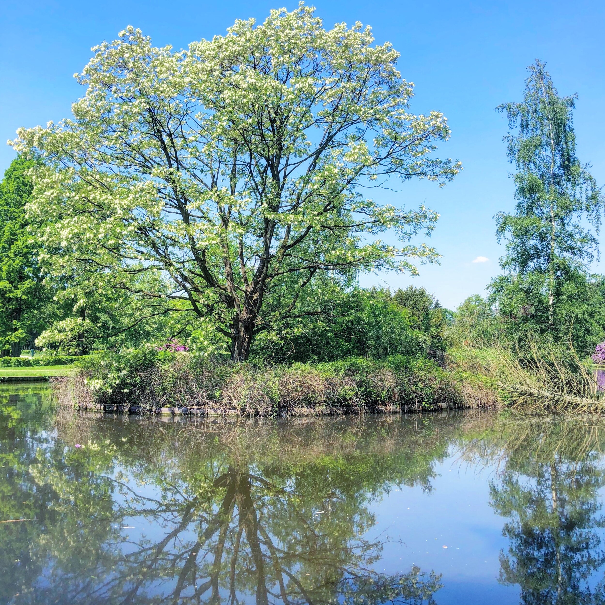 Kienehoef, Sint-Oedenrode, The Netherlands
