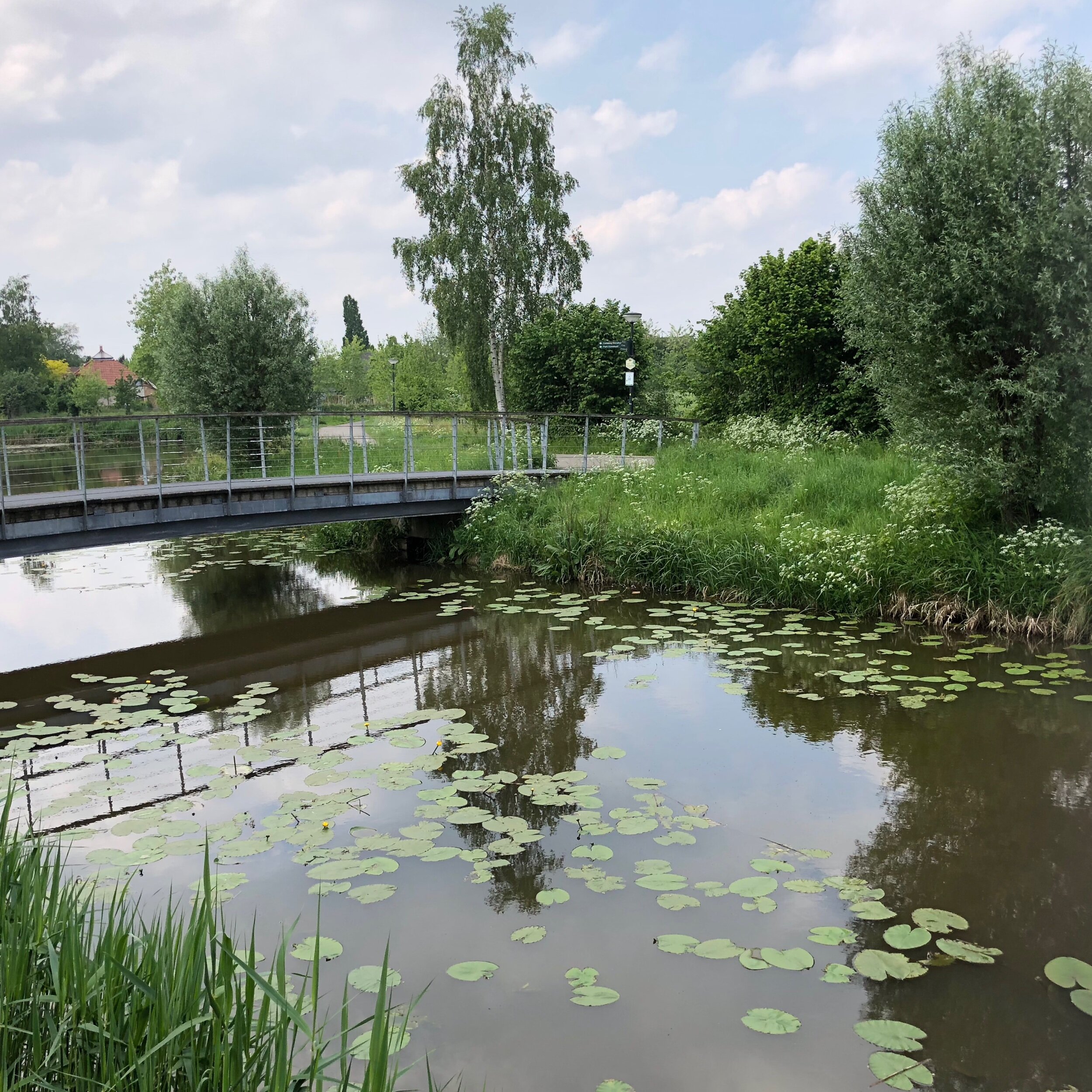 Klaverpad, Sint-Oedenrode, The Netherlands