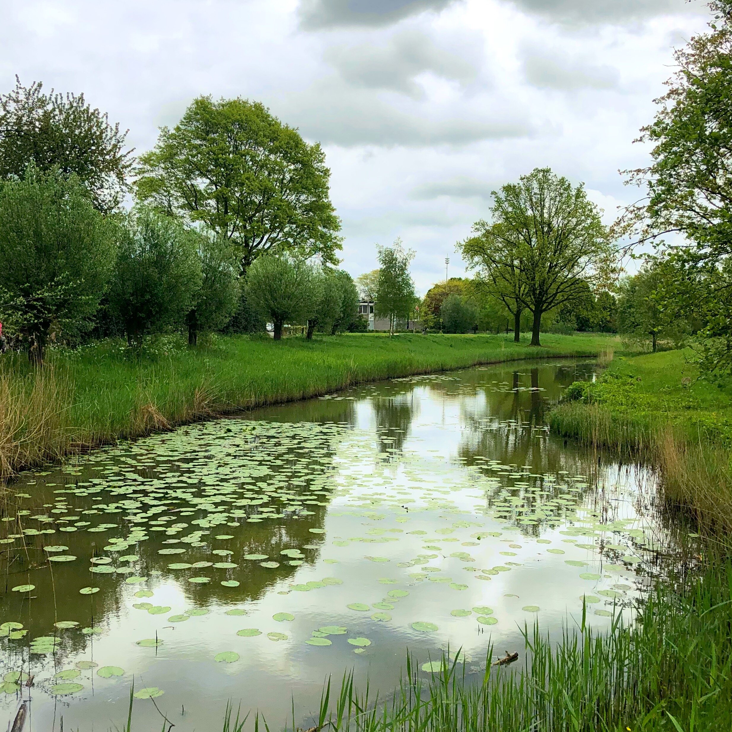 Klaverpad, Sint-Oedenrode, The Netherlands