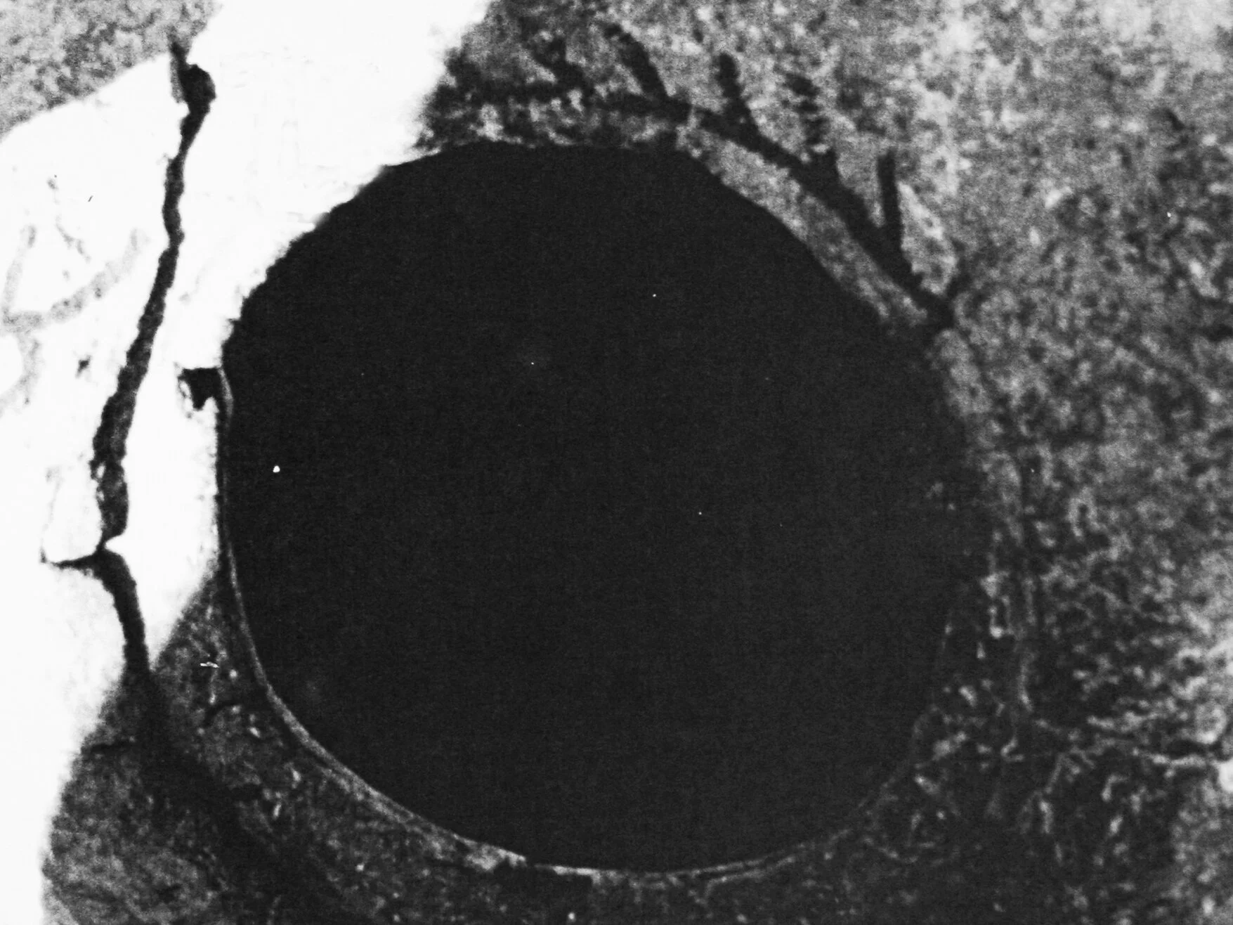  milk and soot 