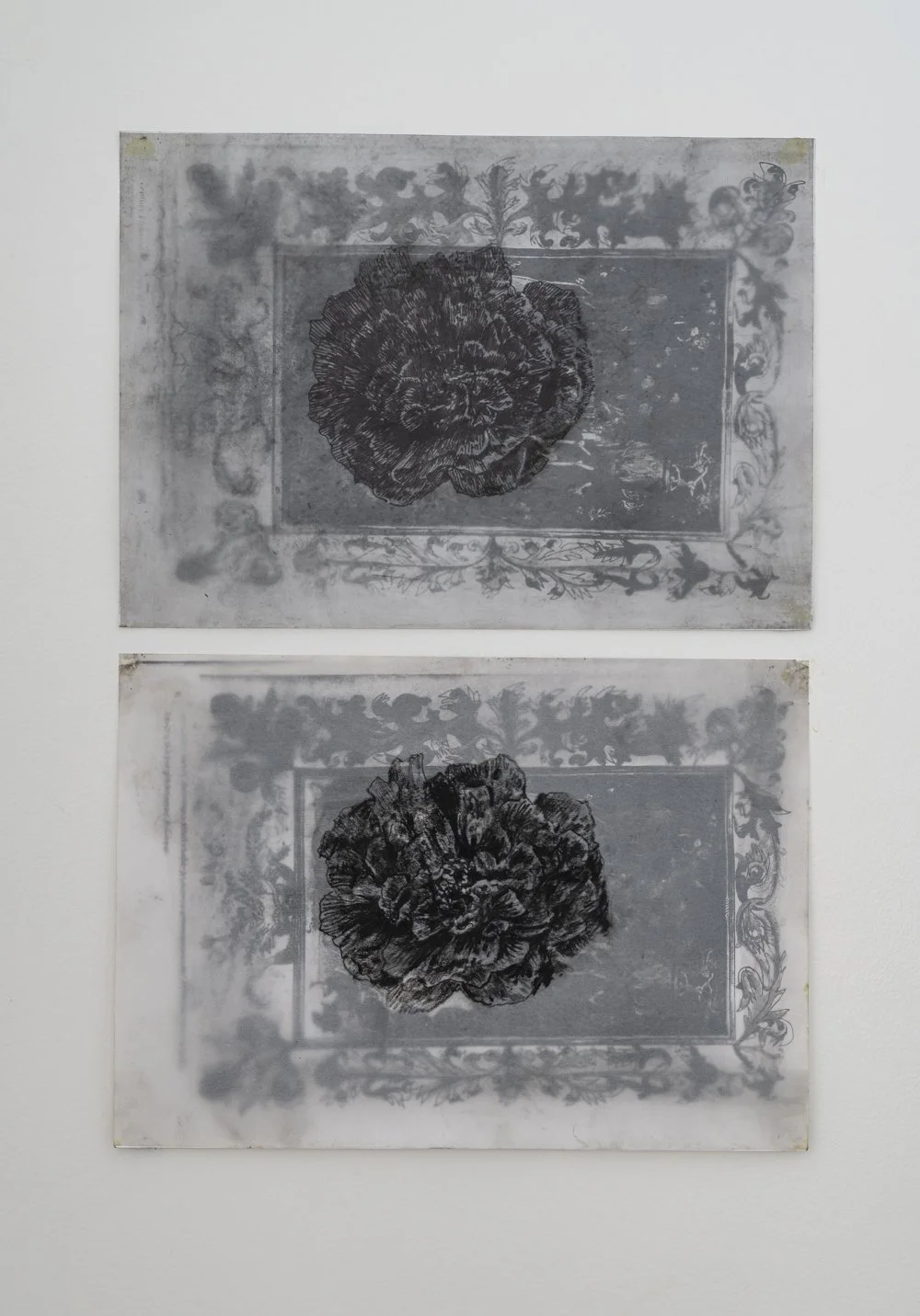 9- diptych       each one   21-x30   mixed technique on  paper.JPG