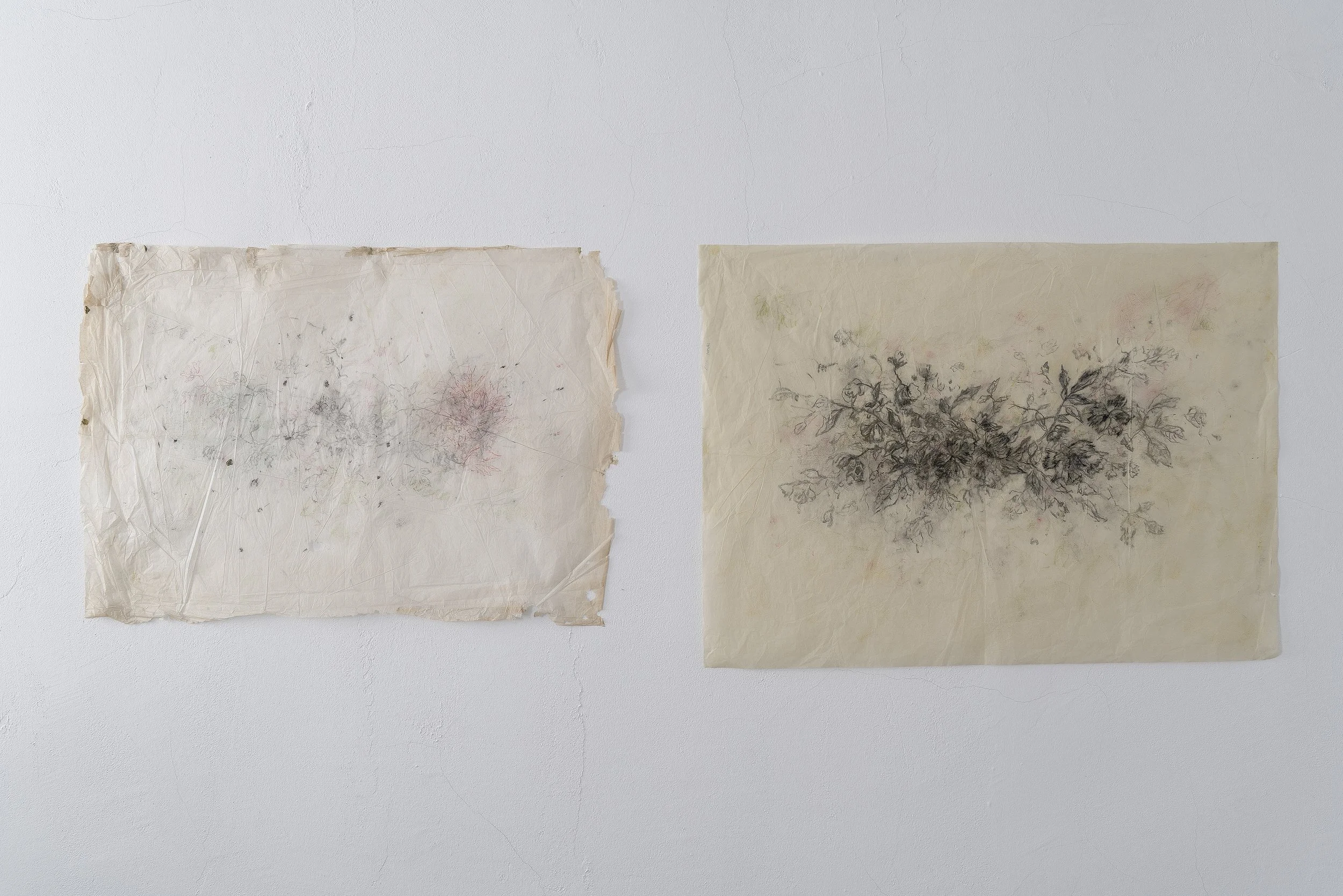 10- diptych        each one  70 x100  mixed technique  on paper.JPG