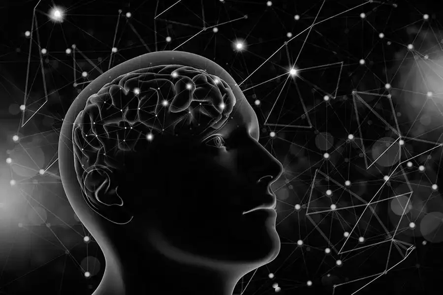 Cover Page2 copy.webp