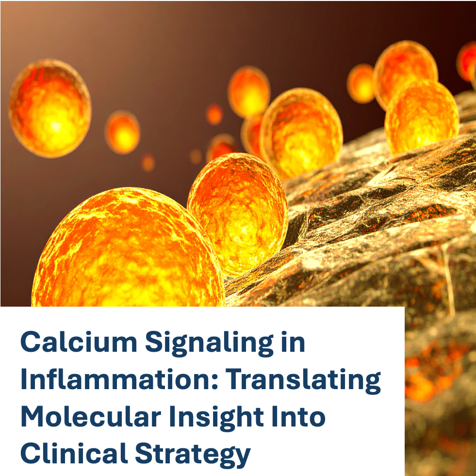 Calcium Signaling in Inflammation: Translating Molecular Insight Into Clinical Strategy
