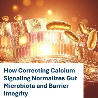 How Correcting Calcium Signaling Normalizes Gut Microbiota and Barrier Integrity
