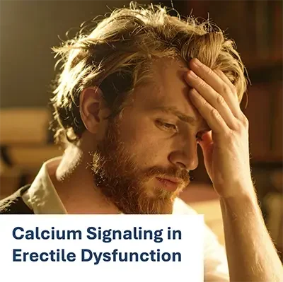 Calcium Signaling in Erectile Dysfunction