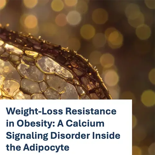 Weight-Loss Resistance in Obesity: A Calcium Signaling Disorder Inside the Adipocyte