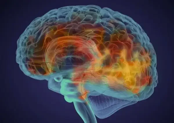 Cover_Page copy.webp