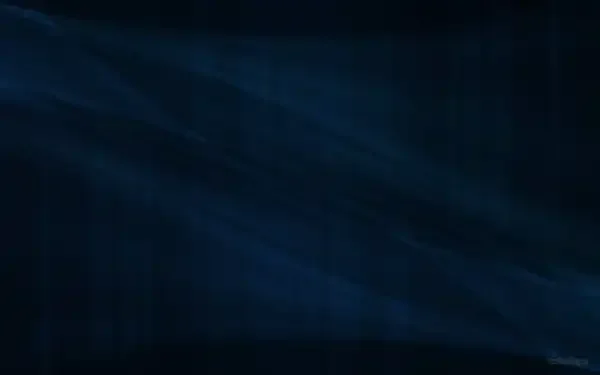 Book Online copy.webp