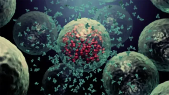 Cover_Banner copy.webp