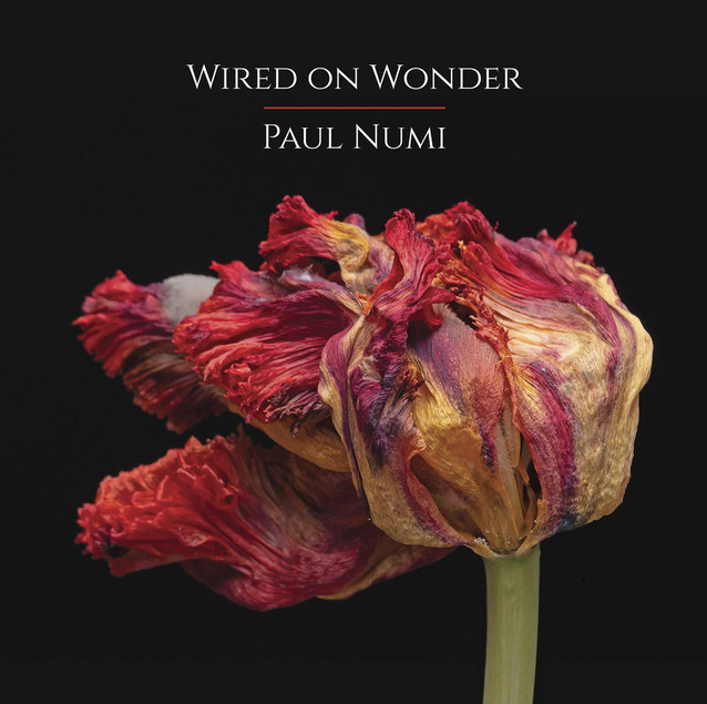 Paul Numi – Wired on Wonder (Album) – Mixer – 2026