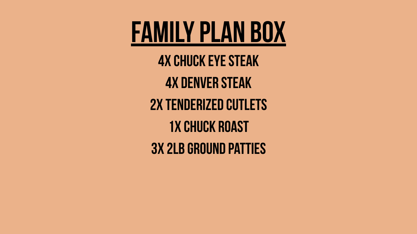 The Family Plan