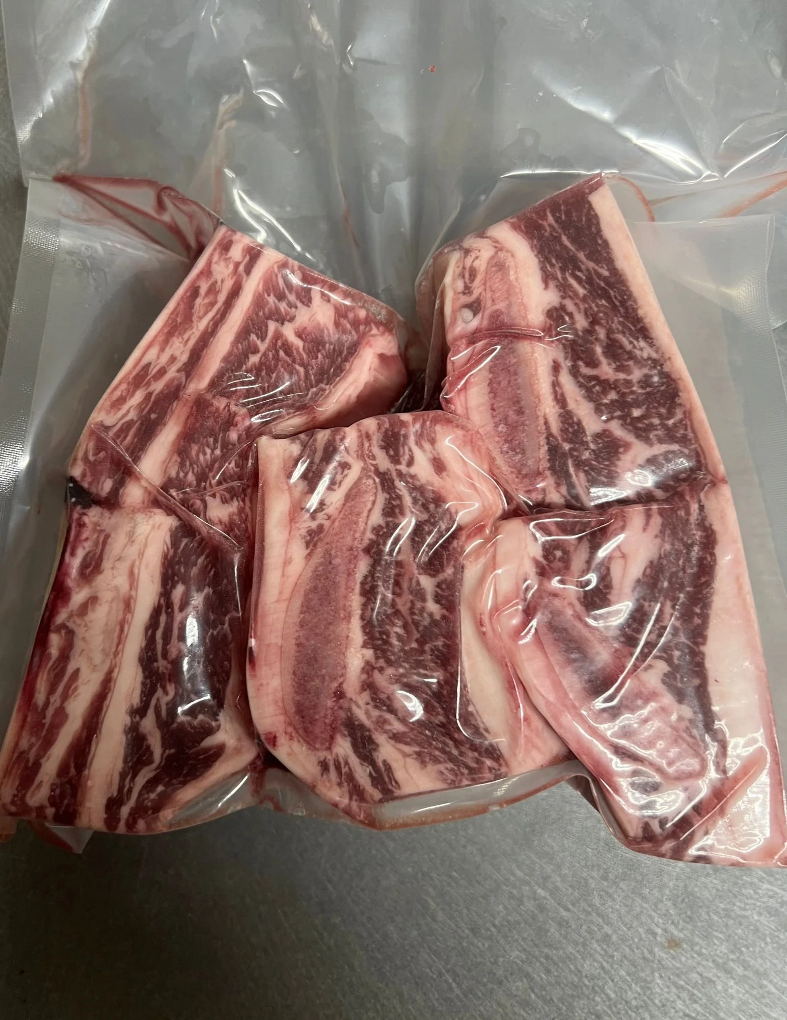 Untitled design (6).jpg