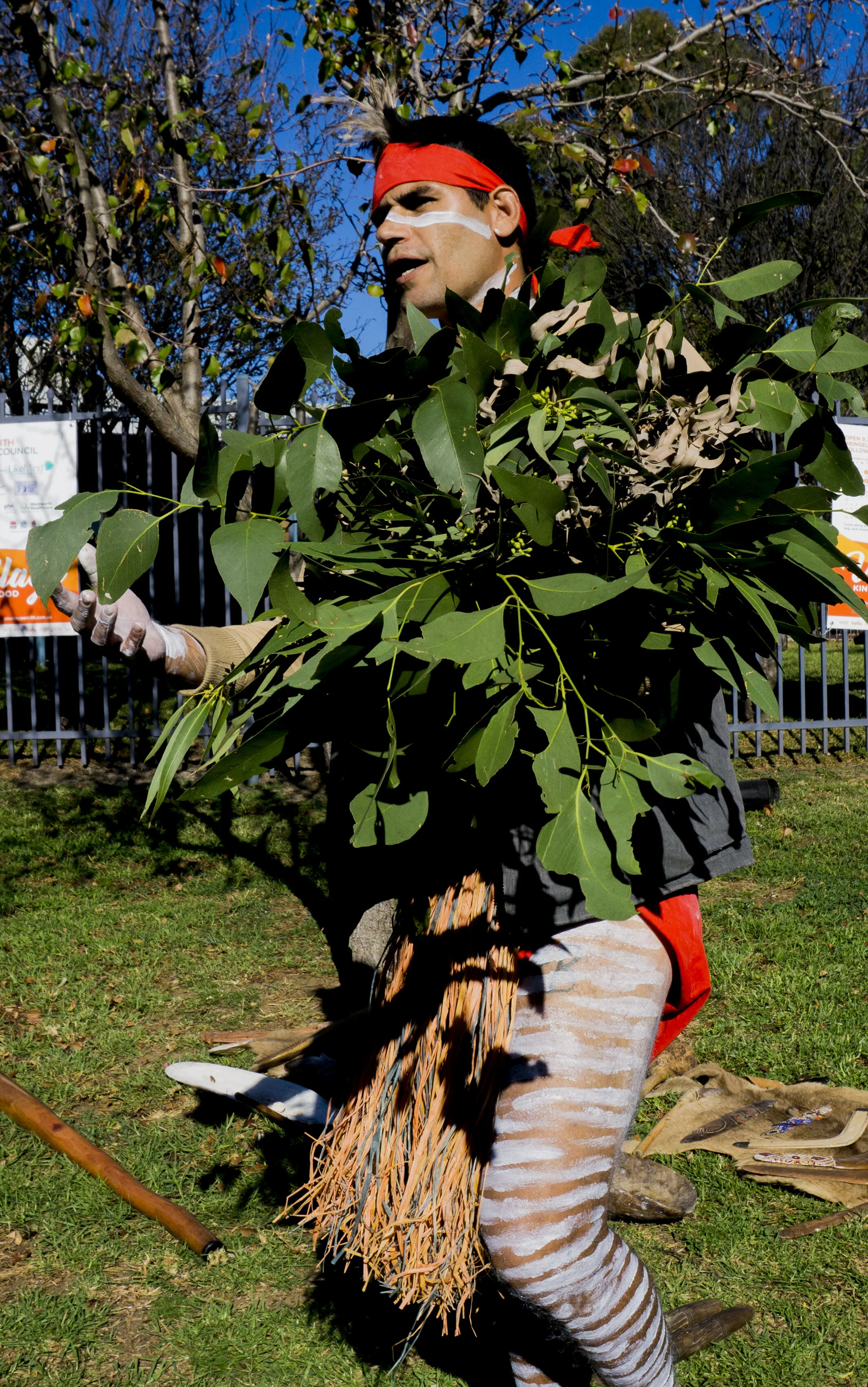 A Little Bird Told Me | Rhonda Dee | Penrith City Council I 2019