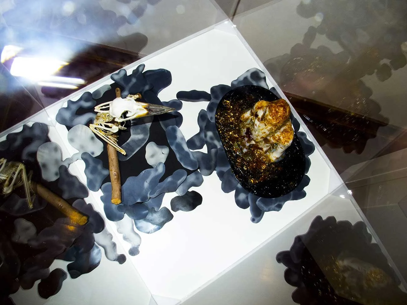 Hidden Symmetries    |   Installation    |   2014