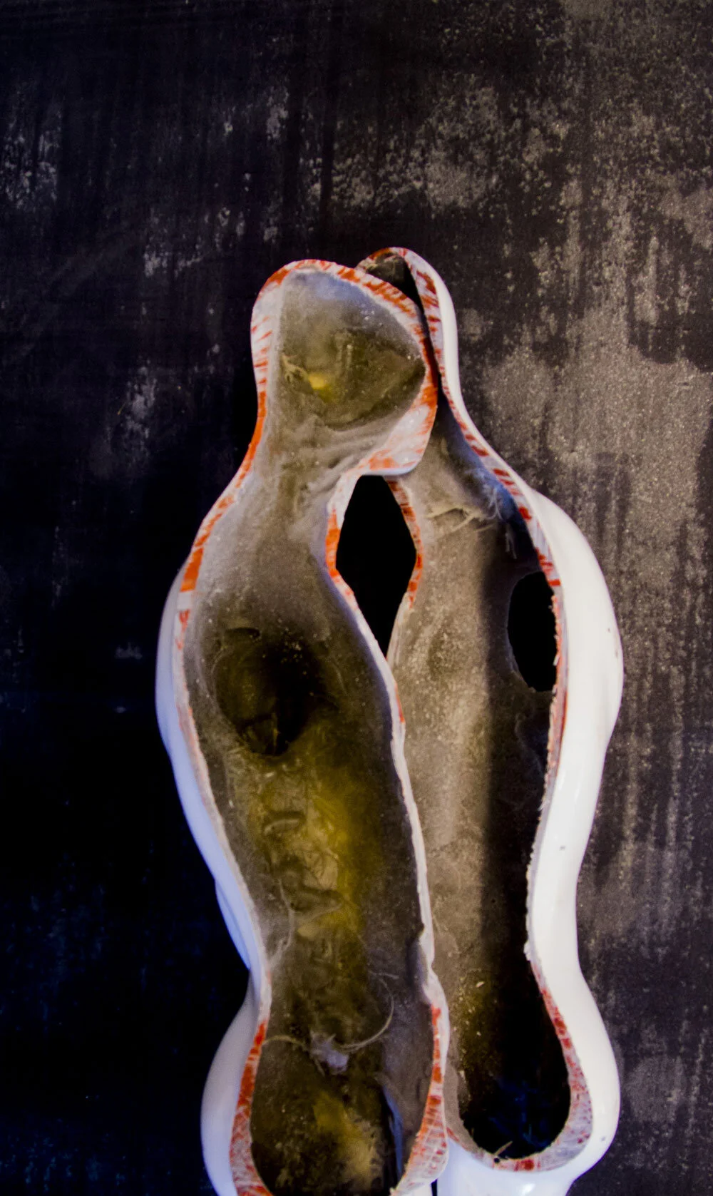 Hidden Symmetries    |   Pigment Photograph on Archival Rag   |   2014