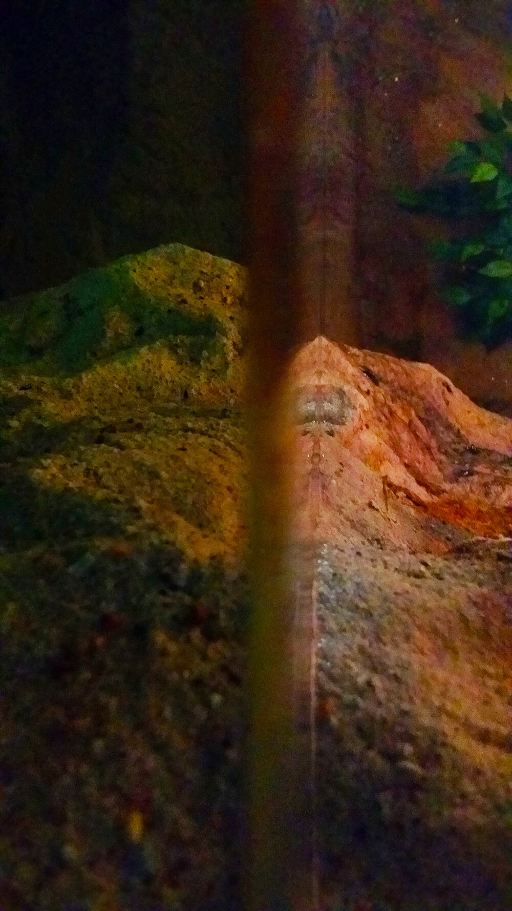 Hidden Symmetries    |   Pigment Photograph   |   2014