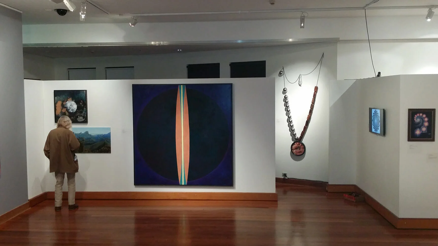 Fields of Vision    |   Exhibition Opening   |   2014