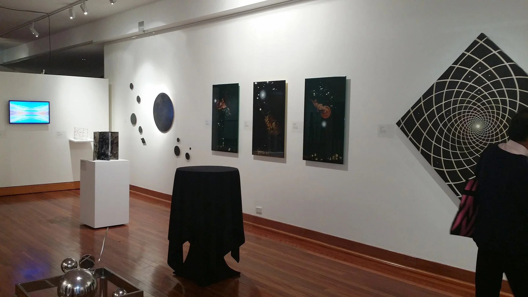 Fields of Vision    |   Exhibition Opening   |   2014