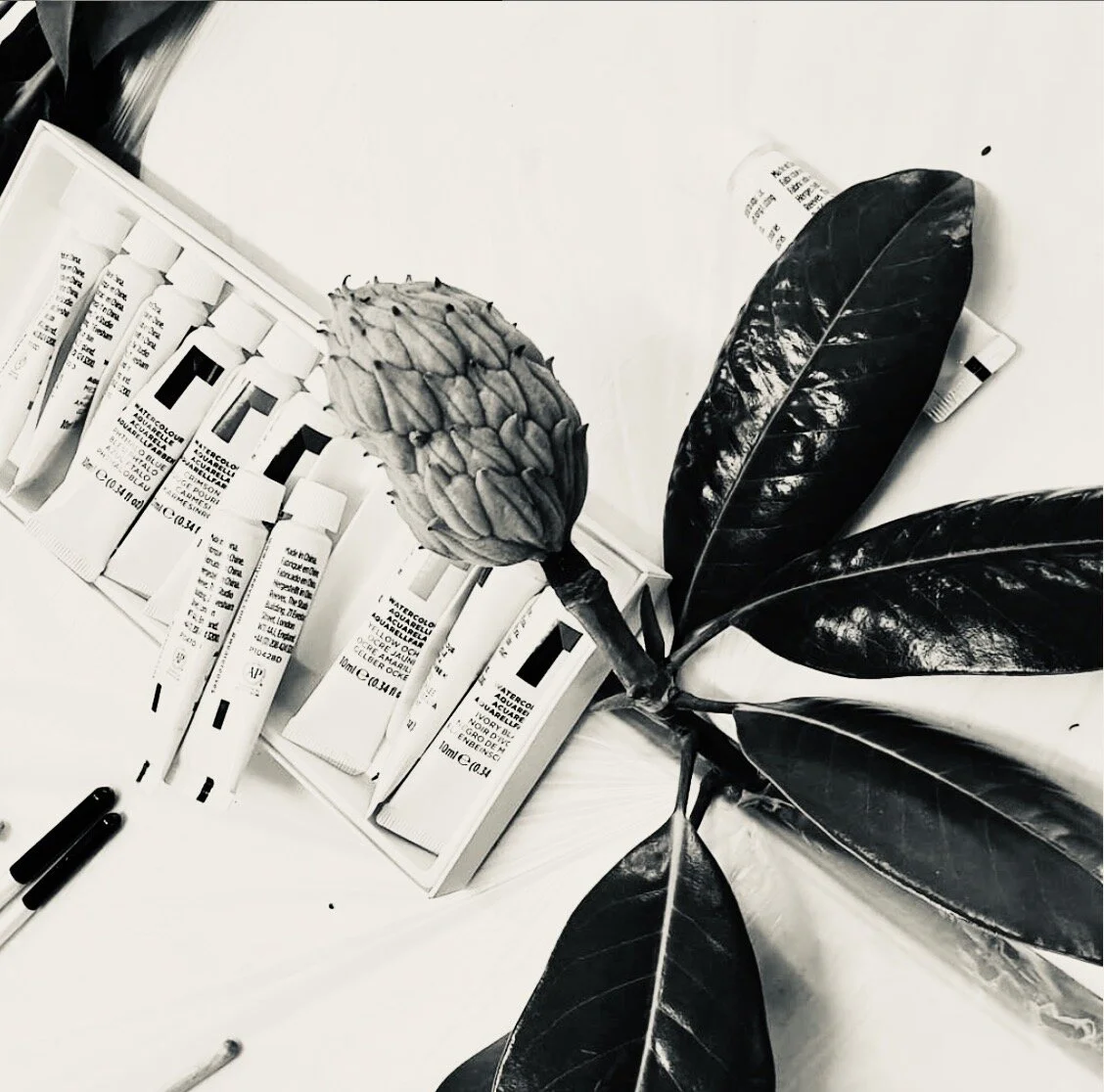 Escape Into Landscape Online